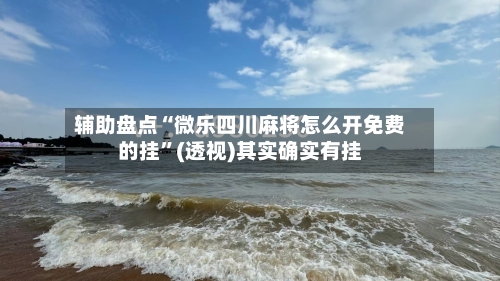辅助盘点“微乐四川麻将怎么开免费的挂”(透视)其实确实有挂-第2张图片