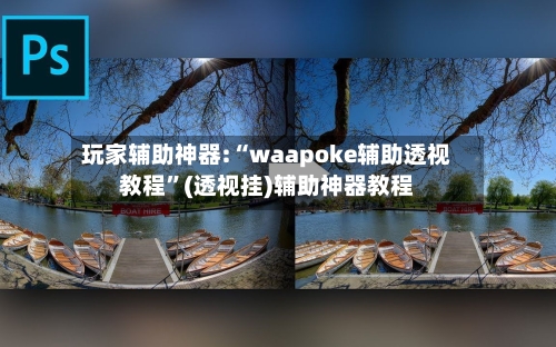 玩家辅助神器:“waapoke辅助透视教程”(透视挂)辅助神器教程-第3张图片