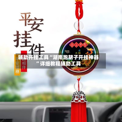 辅助开挂工具“湖南跑胡子开挂神器”详细教程辅助工具-第3张图片