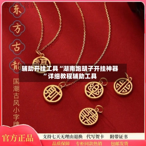 辅助开挂工具“湖南跑胡子开挂神器”详细教程辅助工具-第2张图片