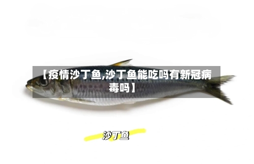 【疫情沙丁鱼,沙丁鱼能吃吗有新冠病毒吗】-第3张图片