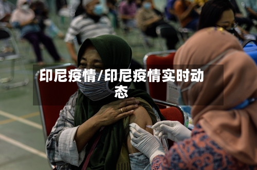 印尼疫情/印尼疫情实时动态-第2张图片