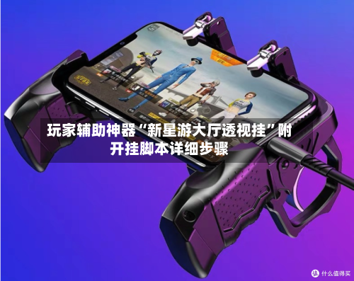 玩家辅助神器“新星游大厅透视挂”附开挂脚本详细步骤