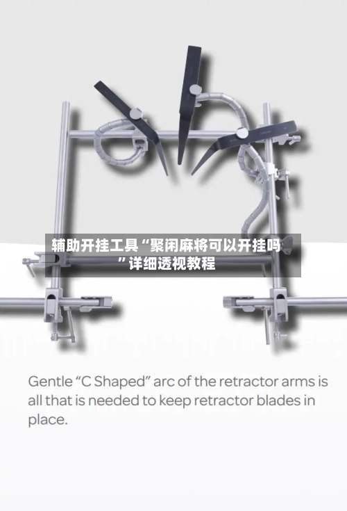 辅助开挂工具“聚闲麻将可以开挂吗”详细透视教程-第2张图片