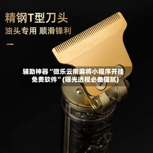 辅助神器“微乐云南麻将小程序开挂免费软件	”(曝光透视必备猫腻)-第2张图片