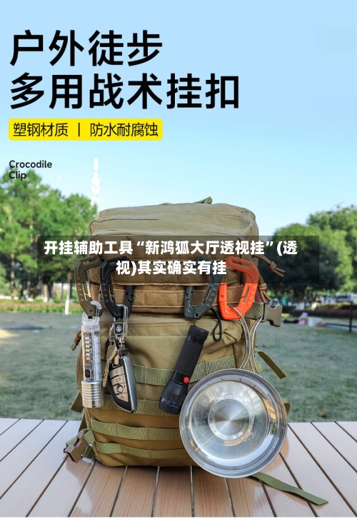 开挂辅助工具“新鸿狐大厅透视挂”(透视)其实确实有挂-第3张图片