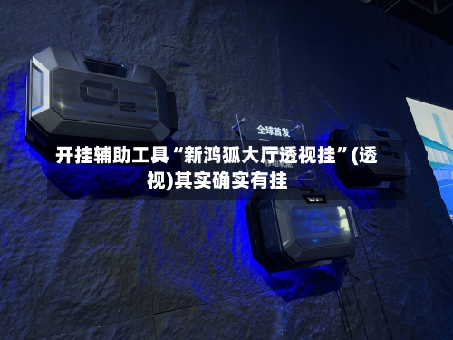 开挂辅助工具“新鸿狐大厅透视挂”(透视)其实确实有挂