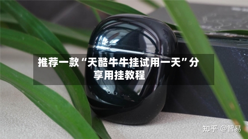 推荐一款“天酷牛牛挂试用一天	”分享用挂教程-第3张图片