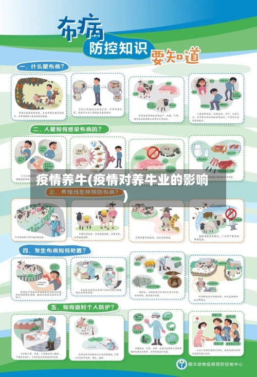 疫情养牛(疫情对养牛业的影响)
