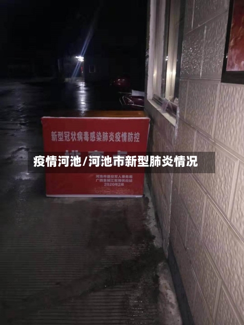 疫情河池/河池市新型肺炎情况-第3张图片