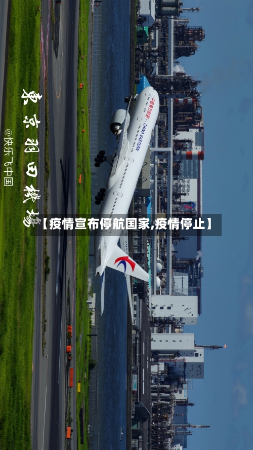 【疫情宣布停航国家,疫情停止】-第3张图片