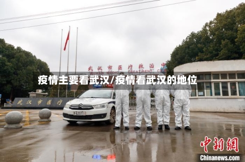 疫情主要看武汉/疫情看武汉的地位
