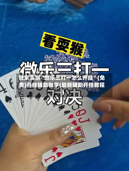 独家实测“微乐三打一怎么开挂”(免费)开挂辅助教学(最新辅助开挂教程)-第2张图片