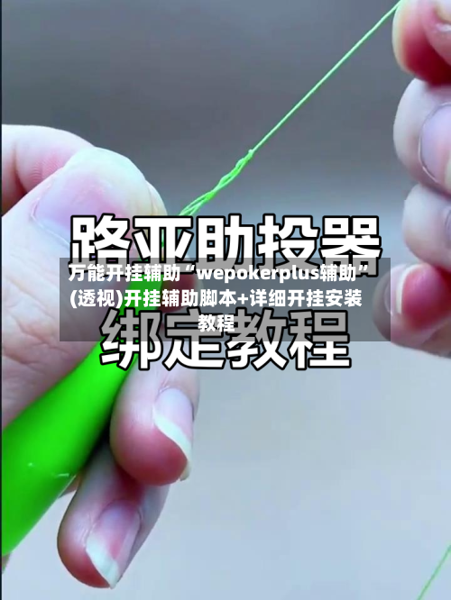 万能开挂辅助“wepokerplus辅助”(透视)开挂辅助脚本+详细开挂安装教程-第2张图片