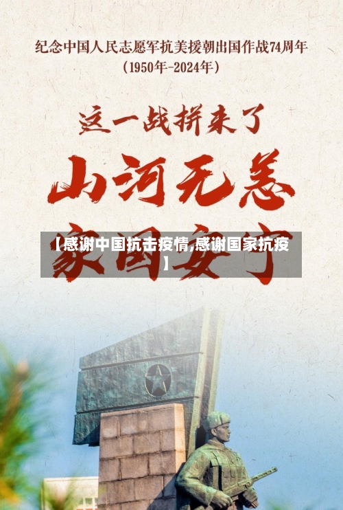 【感谢中国抗击疫情,感谢国家抗疫】