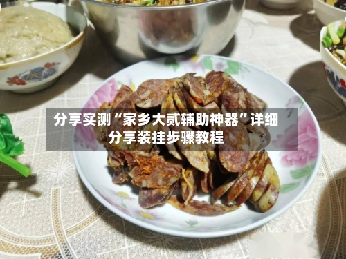 分享实测“家乡大贰辅助神器”详细分享装挂步骤教程