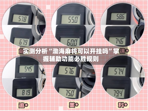 实测分析“渤海麻将可以开挂吗”掌握辅助功能必胜规则-第1张图片