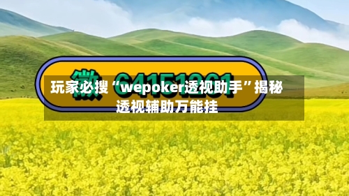 玩家必搜“wepoker透视助手	”揭秘透视辅助万能挂-第2张图片