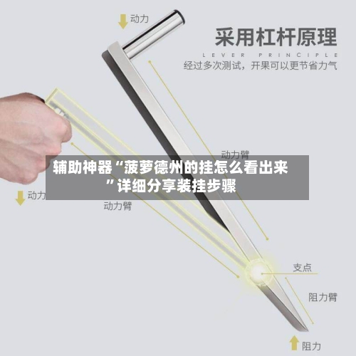 辅助神器“菠萝德州的挂怎么看出来	”详细分享装挂步骤-第3张图片