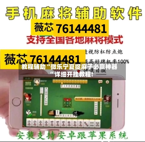 教程辅助“微乐宁夏捉麻子必赢神器”详细开挂教程!-第2张图片