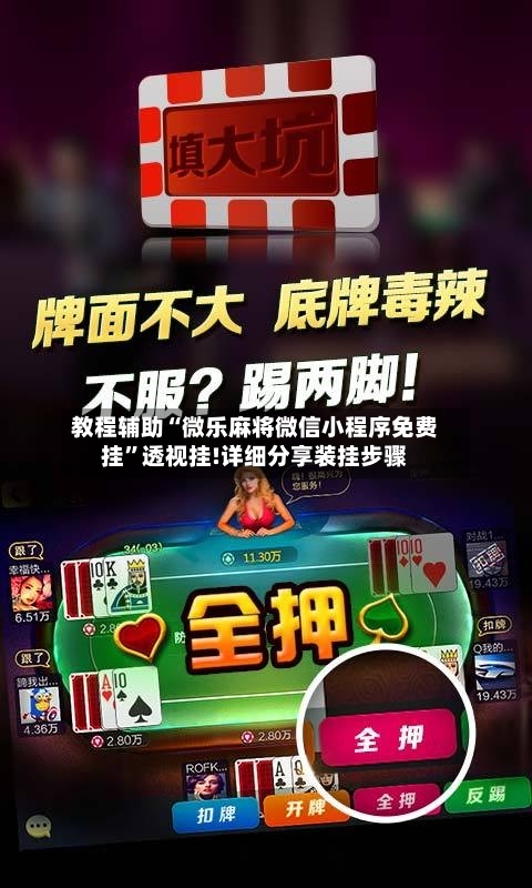 教程辅助“微乐麻将微信小程序免费挂	”透视挂!详细分享装挂步骤-第3张图片