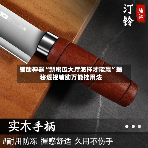 辅助神器“新蜜瓜大厅怎样才能赢	”揭秘透视辅助万能挂用法-第2张图片