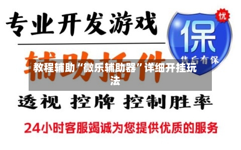 教程辅助“微乐辅助器”详细开挂玩法-第2张图片