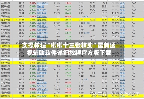 实操教程“嘟嘟十三张辅助”最新透视辅助软件详细教程官方版下载