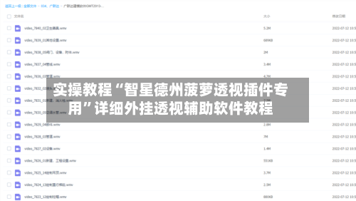 实操教程“智星德州菠萝透视插件专用”详细外挂透视辅助软件教程-第3张图片