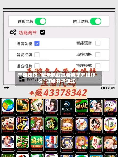 开挂技巧“微乐陕西捉老麻子开挂神器”详细开挂玩法