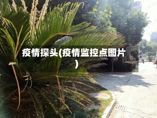 疫情探头(疫情监控点图片)