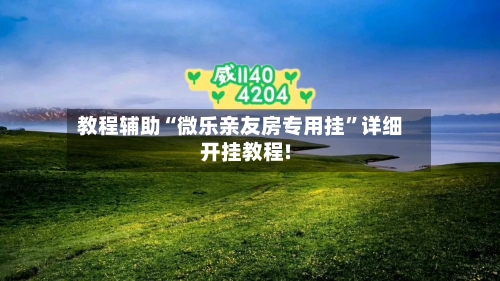 教程辅助“微乐亲友房专用挂	”详细开挂教程!-第2张图片