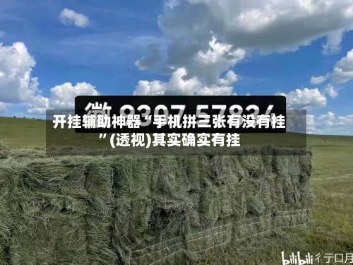 开挂辅助神器“手机拼三张有没有挂	”(透视)其实确实有挂-第2张图片