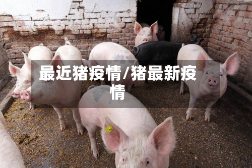 最近猪疫情/猪最新疫情-第2张图片