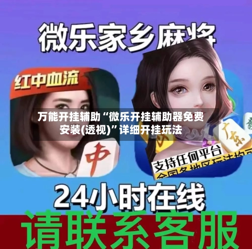 万能开挂辅助“微乐开挂辅助器免费安装(透视)”详细开挂玩法-第2张图片