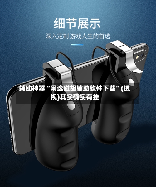 辅助神器“闲逸碰胡辅助软件下载	”(透视)其实确实有挂-第2张图片