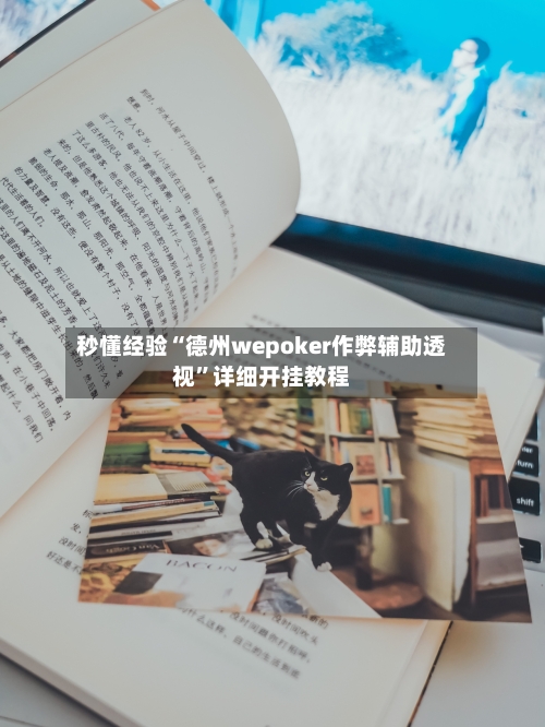 秒懂经验“德州wepoker作弊辅助透视”详细开挂教程-第3张图片