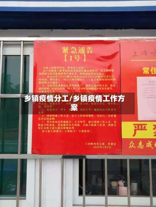 乡镇疫情分工/乡镇疫情工作方案