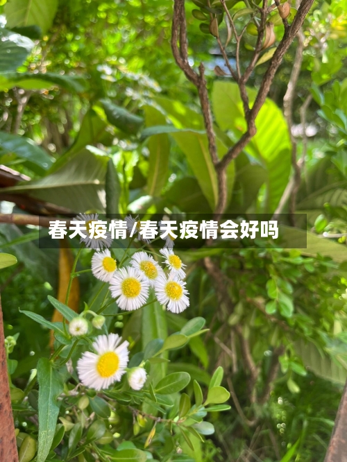 春天疫情/春天疫情会好吗
