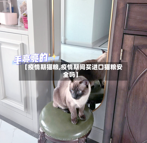 【疫情期猫粮,疫情期间买进口猫粮安全吗】